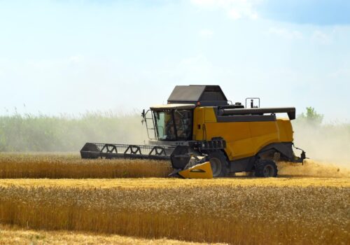 kombain-collects-on-the-wheat-crop-agricultural-machinery-in-the-field-grain-harvest-SBI-300930510-min